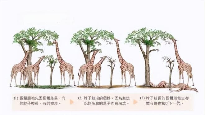 世界上本就没有人，第一个人到底是如何诞生的？