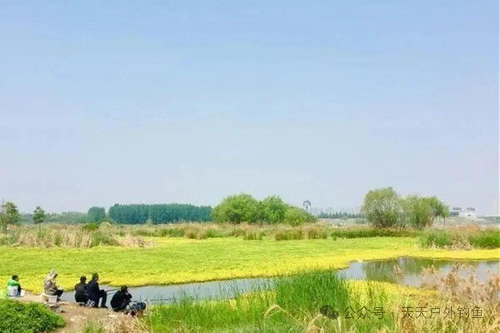 钓鱼必杀技：鱼到底什么时候最好钓？核心要点只有一个