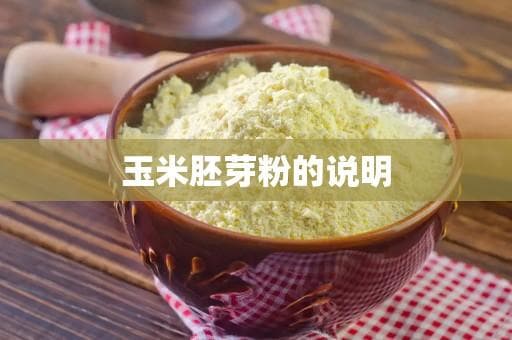 玉米胚芽粉的全面介绍与使用指南