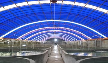 智慧工厂化海水养殖：中国海洋经济的新引擎