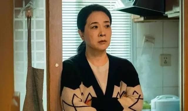 央视热剧推荐：陈小艺的教科书式演技