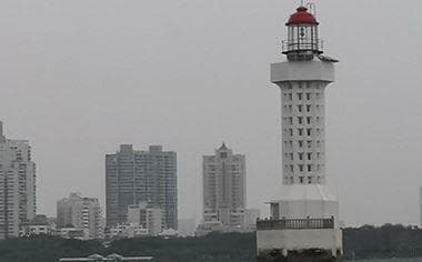 环境污染重金属五大类有哪些