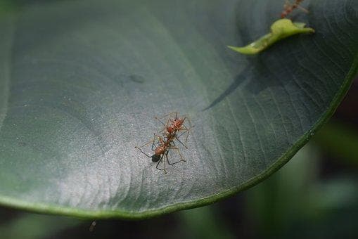 促进宝宝语言发展的9种方法