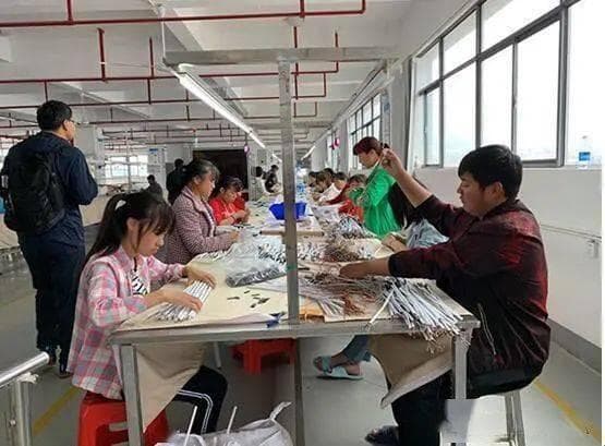 专科生就业：破局之路，未来可期