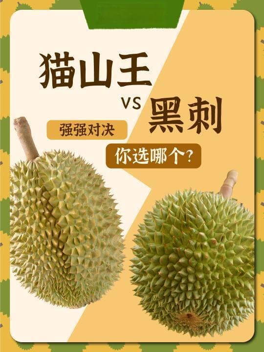 猫山王 vs 黑刺：高端榴莲品种全面对比及购买指南