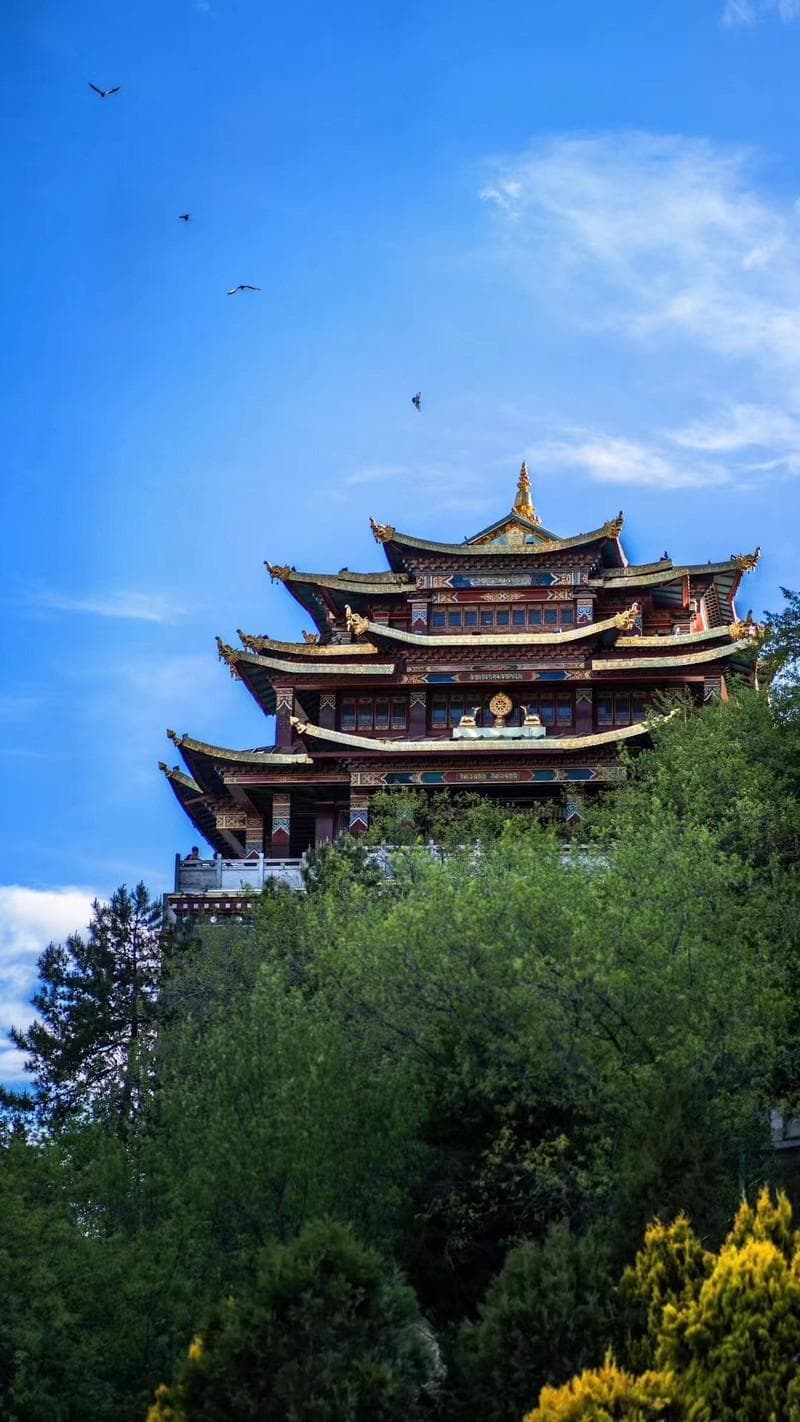 香格里拉的夏天有多美？让巴拉格宗告诉你！