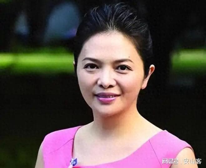 央视主持人文清：从“央视一姐”到地方政协委员的转型之路