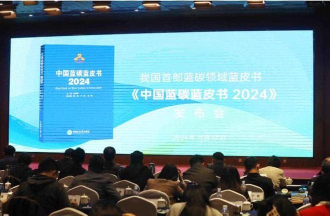 我国首部蓝碳领域蓝皮书正式发布！剖析中国蓝碳现状与未来发展