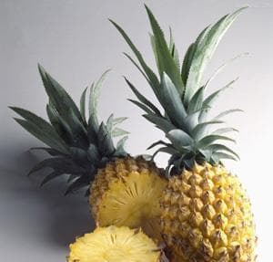 凤梨与菠萝的品种差异及相关特点