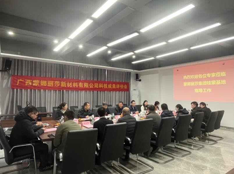 国际先进！广西蒙娜丽莎实现两项技术突破