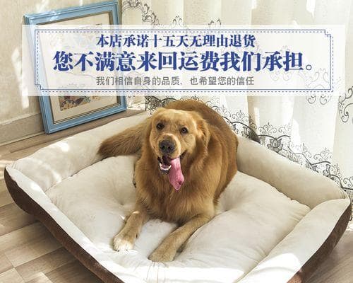 泰迪犬误食药物后出现什么症状？如何处理？