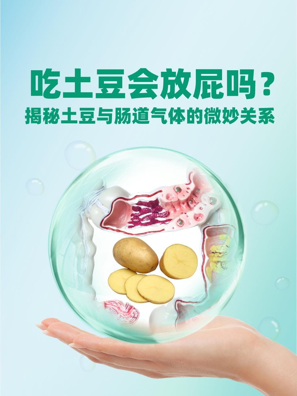 吃土豆会放屁吗？揭秘土豆与肠道气体的微妙关系