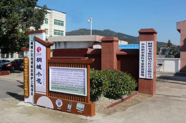 桐城小花：地理标志保护推动茶产业高质量发展