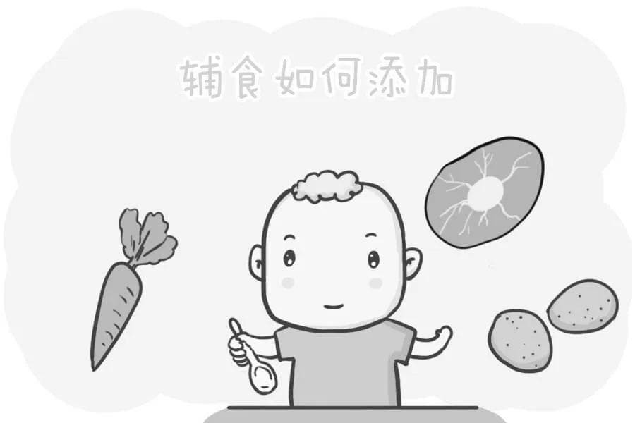 婴儿如何科学添加辅食？