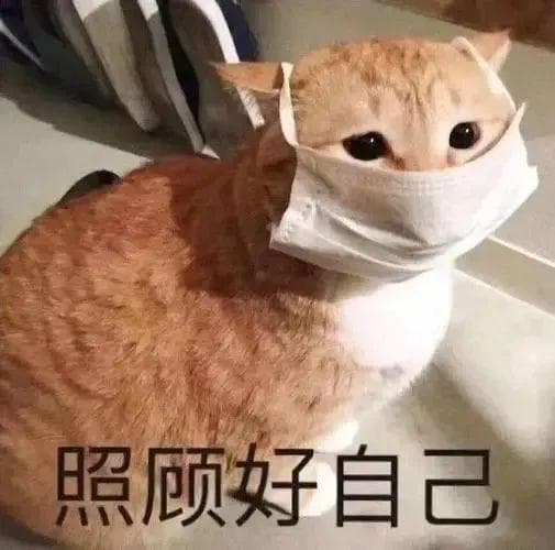 流感≠感冒，这份全方位防治指南请收好！