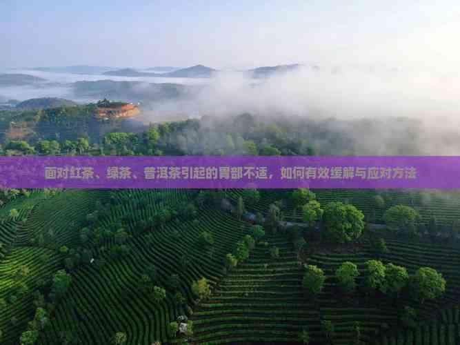 饮用红茶、绿茶和普洱茶后胃部不适怎么办？