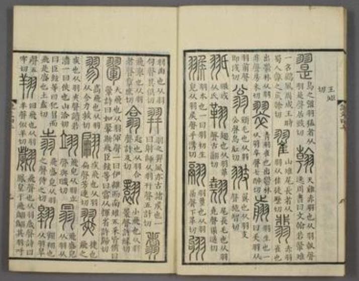《说文解字》对汉字文化有何深远影响？