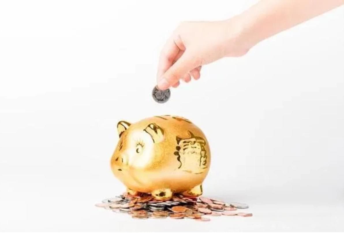 2025年个人所得税退税扣除比例合规填报与最大化退税策略