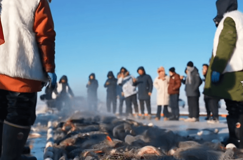 查干湖鱼绵绵不绝的秘密：生态与文化的完美融合