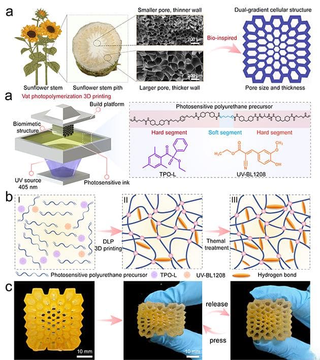 兰州化物所研发新型3D打印聚氨酯，兼具高弹性和生物相容性