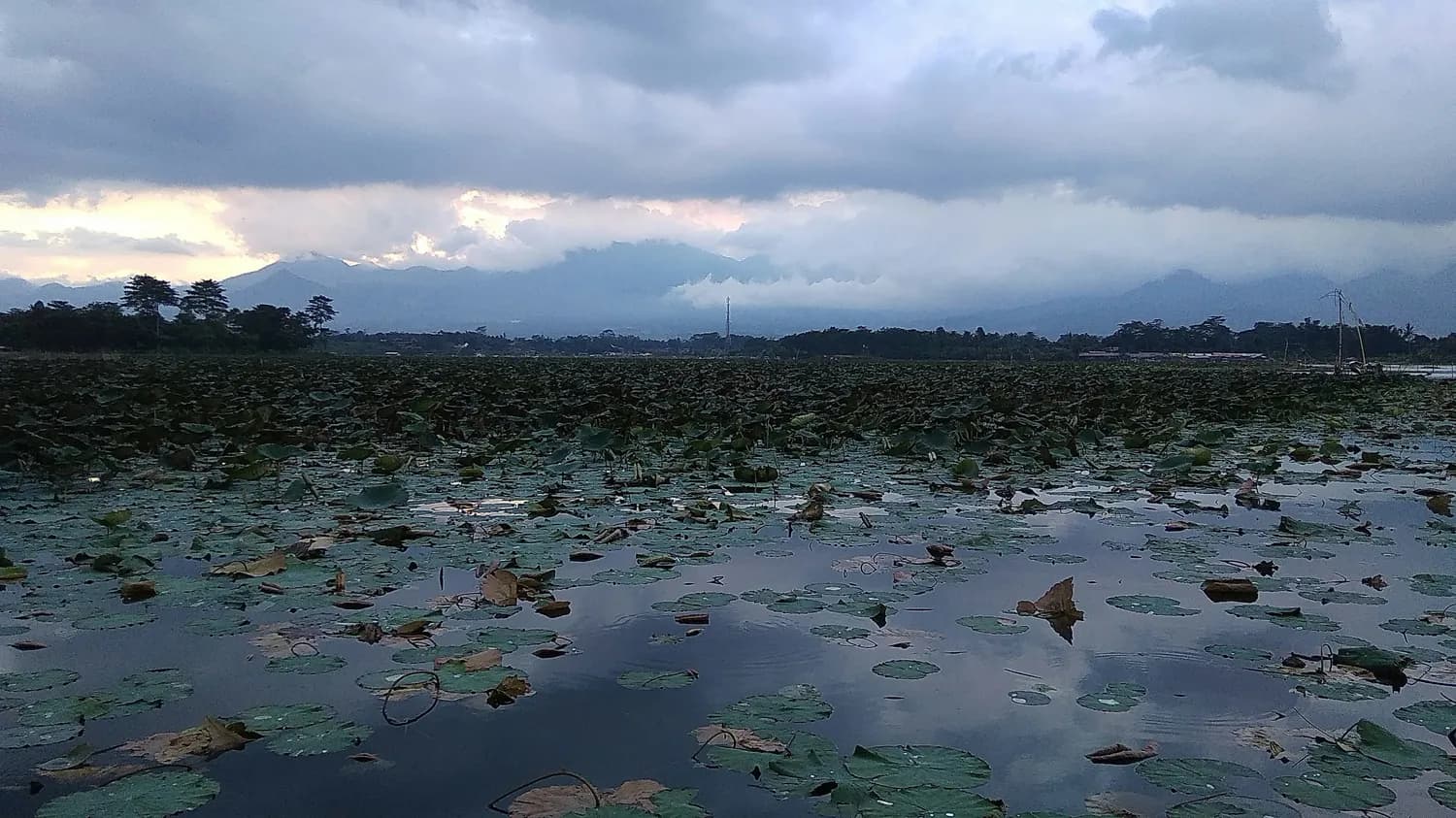 丘北普者黑：文山州必打卡网红景点