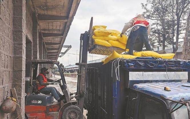 测土配方、精准施肥 让农田吃上定制“饮养餐”——福建春肥冬储一线观察