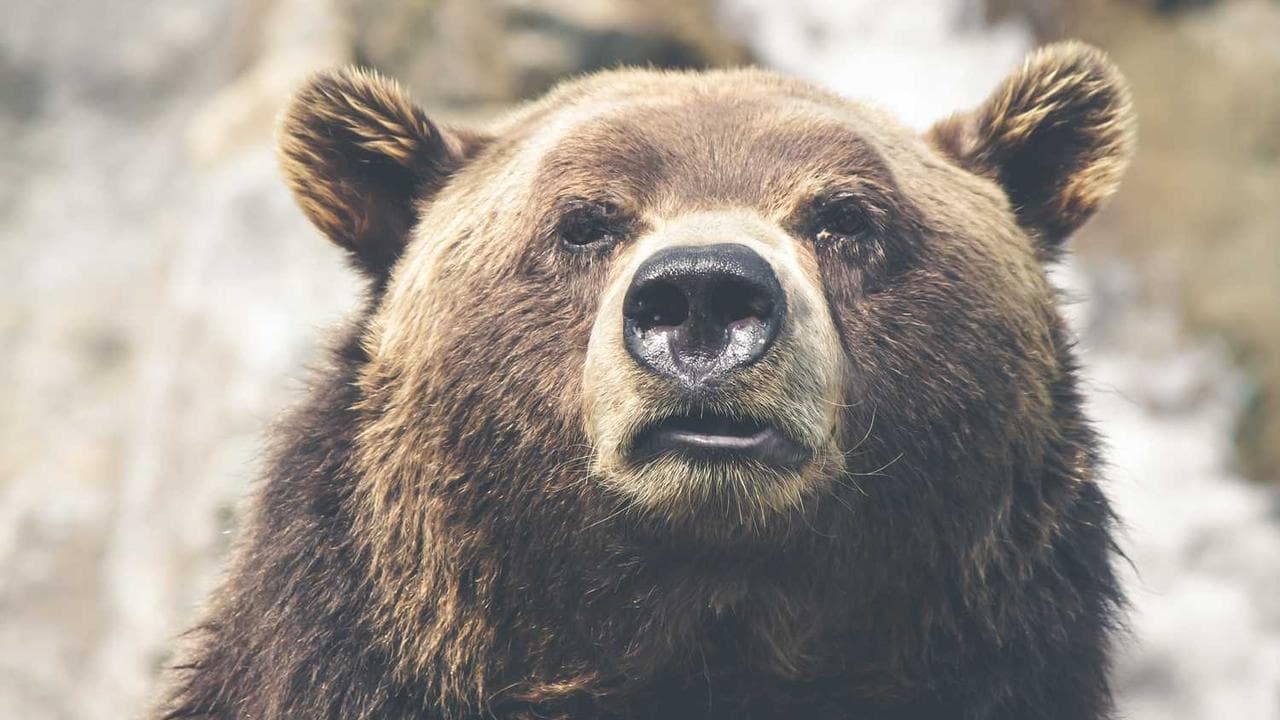 机械工程专业毕业生必读：考证指南与职业规划建议