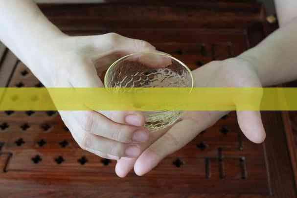 水草缸水质选择与优化：全面指南，确保水草健康生长