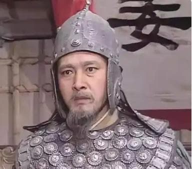 蜀汉的终章：刘禅投降与姜维的最后抵抗