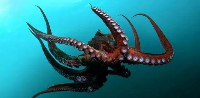 5.4亿年前的"外星生物"：为何章鱼未能站在食物链顶端？