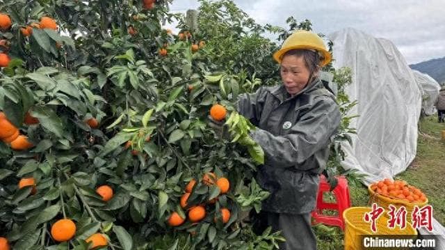 湖南江永电商助力农特产品走出大山