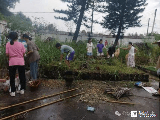 打造公共参与空间，建设睦邻友好社区！以广州市甘岗村“种植乐园”社区治理为例