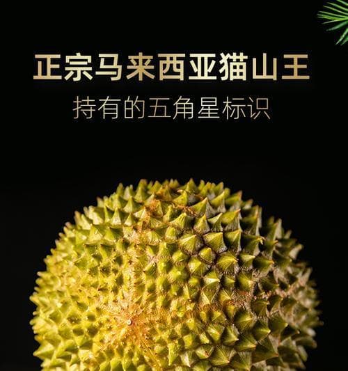 马来西亚十大榴莲品种大揭秘：从猫山王到黑金刚