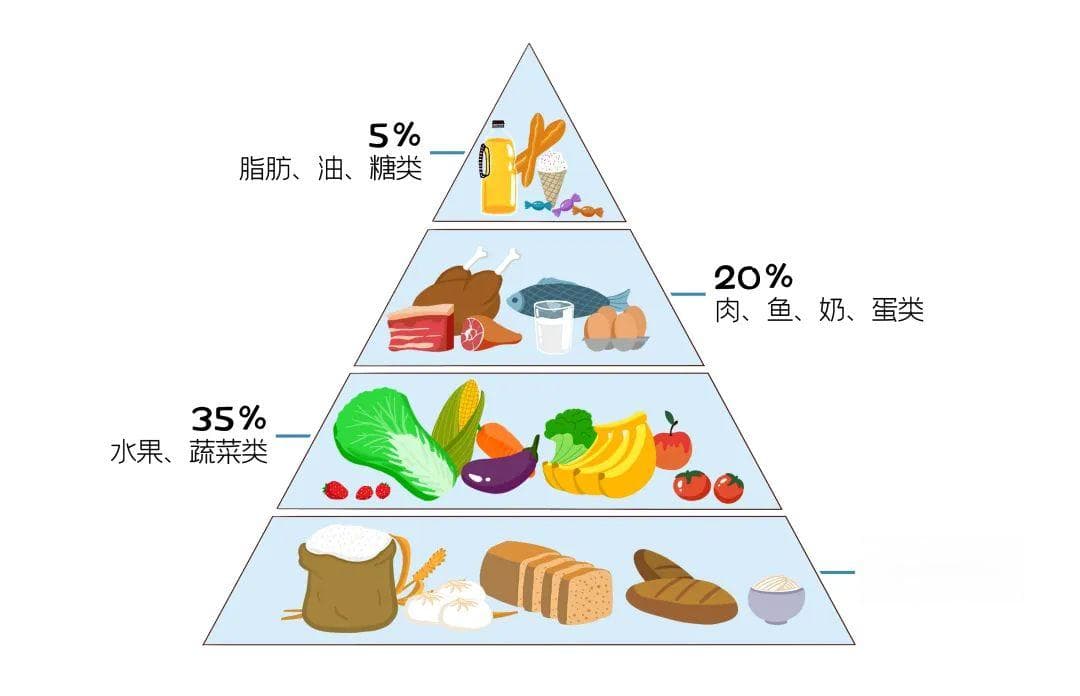 脂肪分好坏，如何选择“好脂肪”？