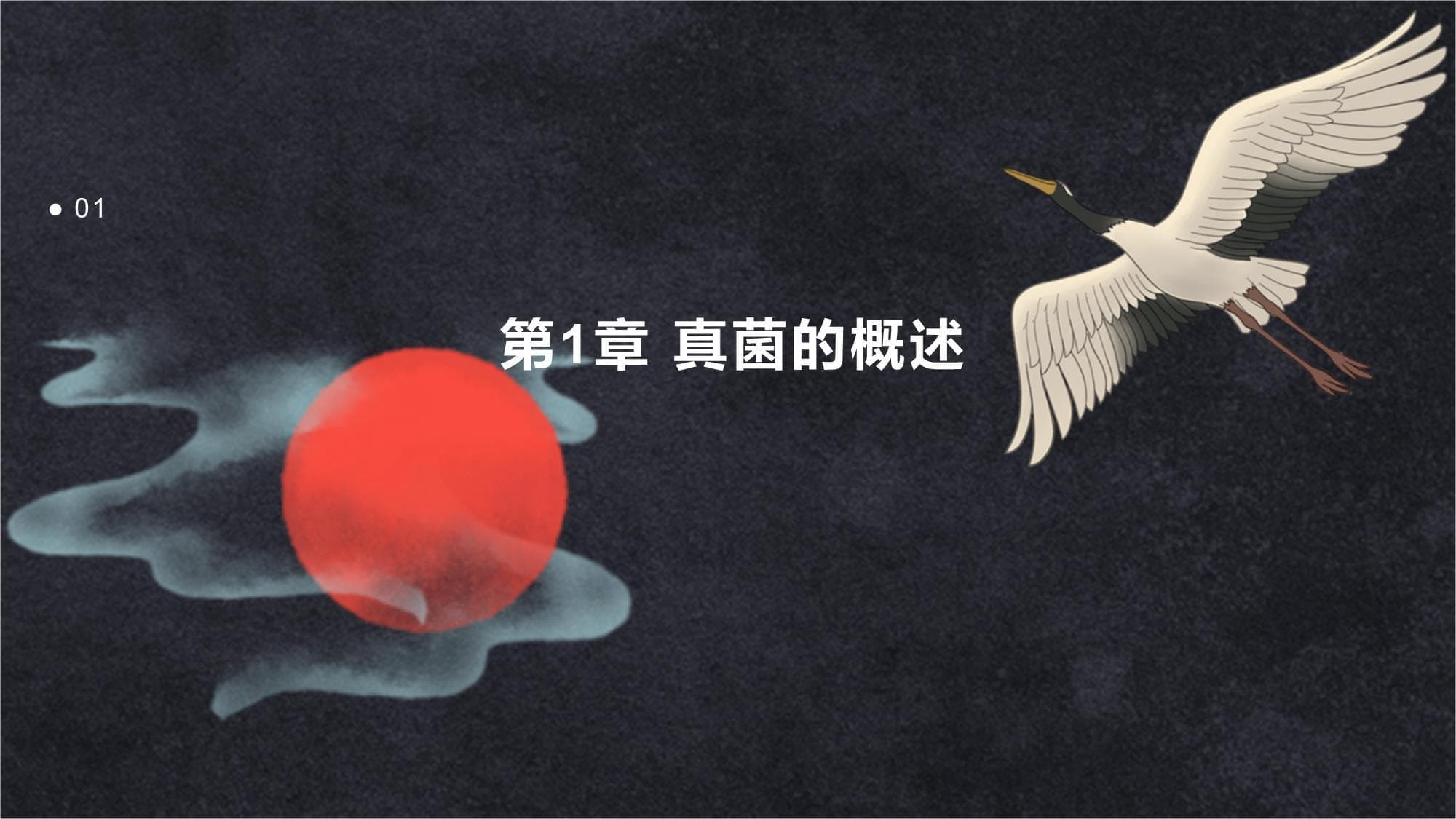 真菌的特征和分类