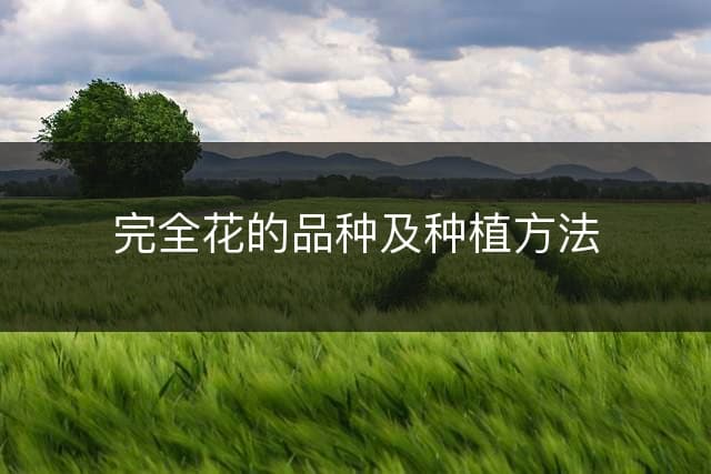 完全花的品种及种植方法