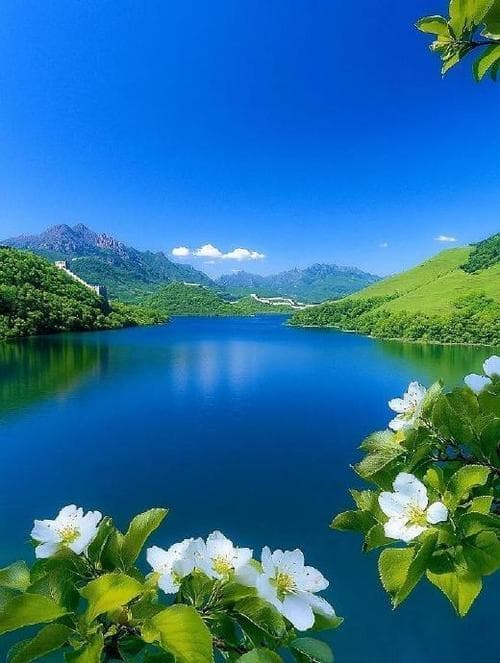 夏天哪里的景色最好？
