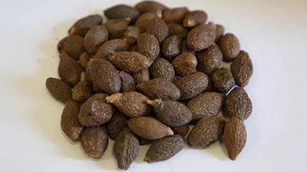 中药效果变化解析：从药物耐受性到个体差异