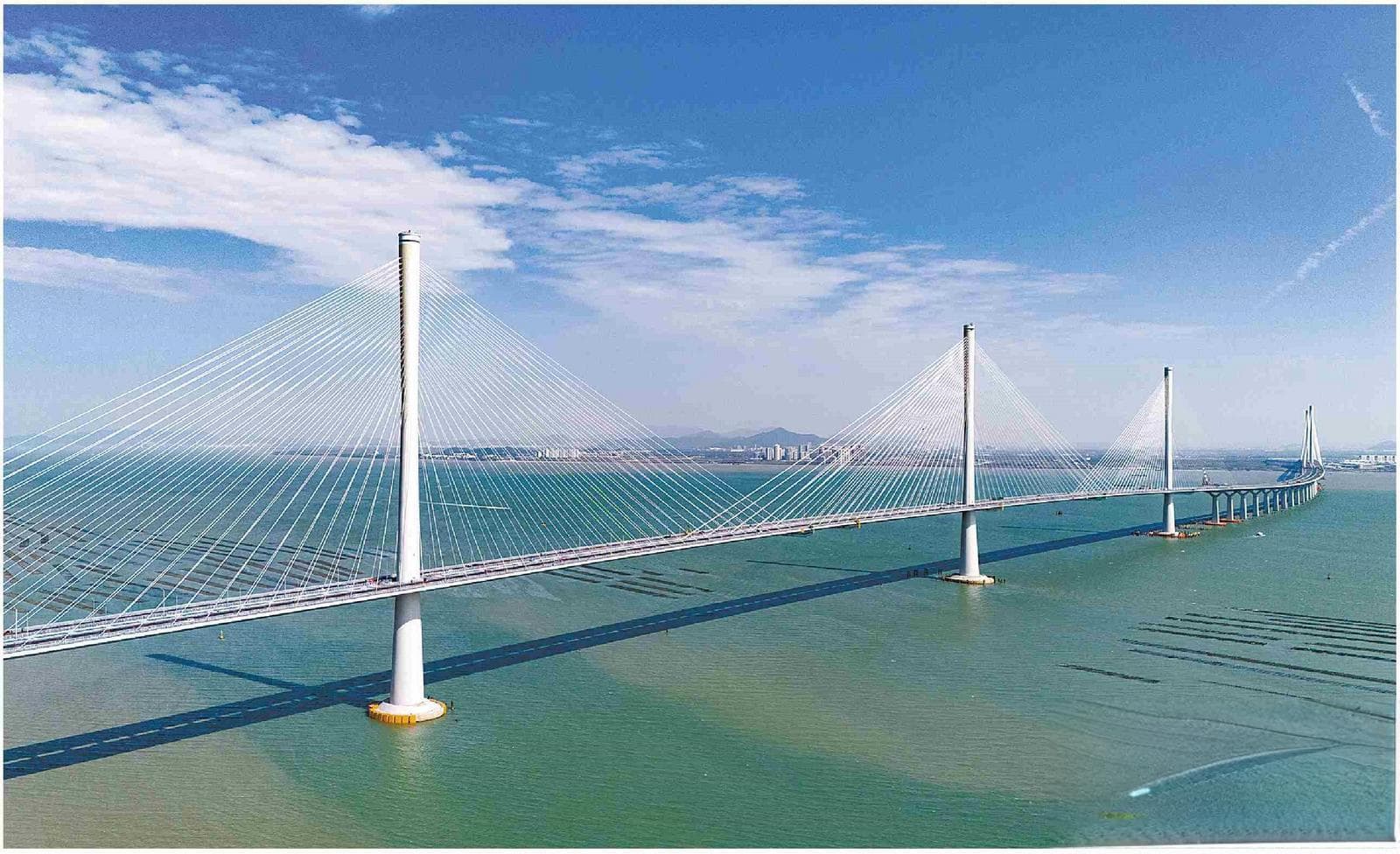 珠海金湾：全力以赴拼经济，跑好开年“第一棒”