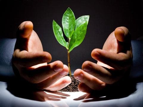 重疾险怎样进行明智选择？这种选择有哪些实际效果？