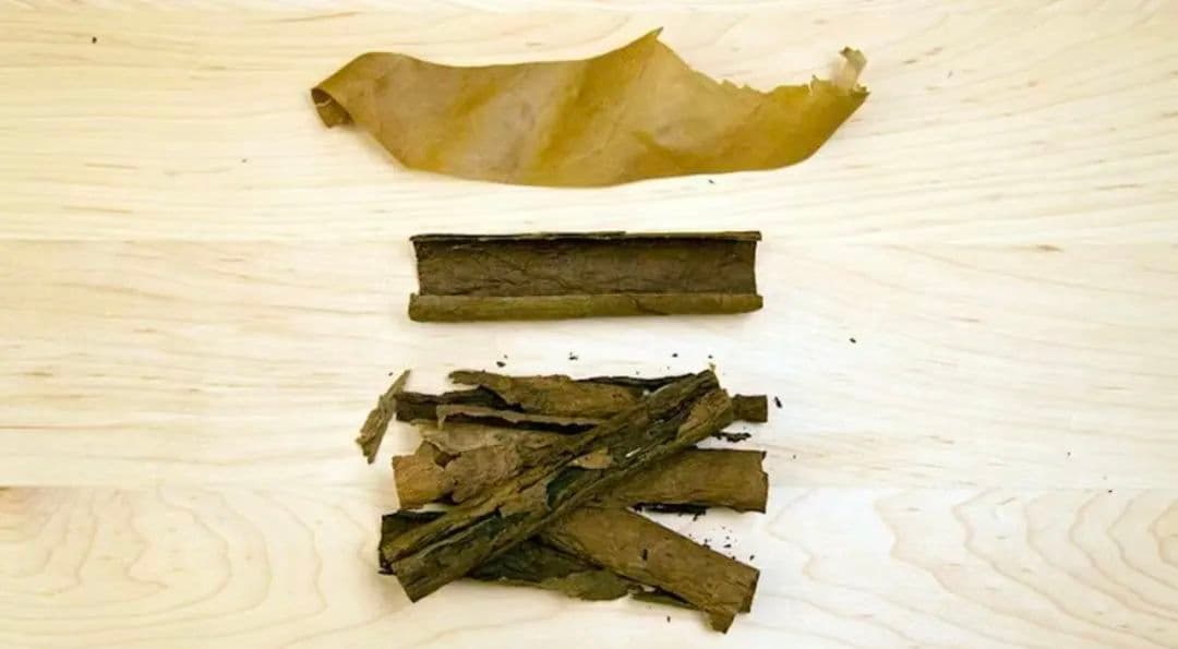 原来雪茄烟叶还有这么多知识点！