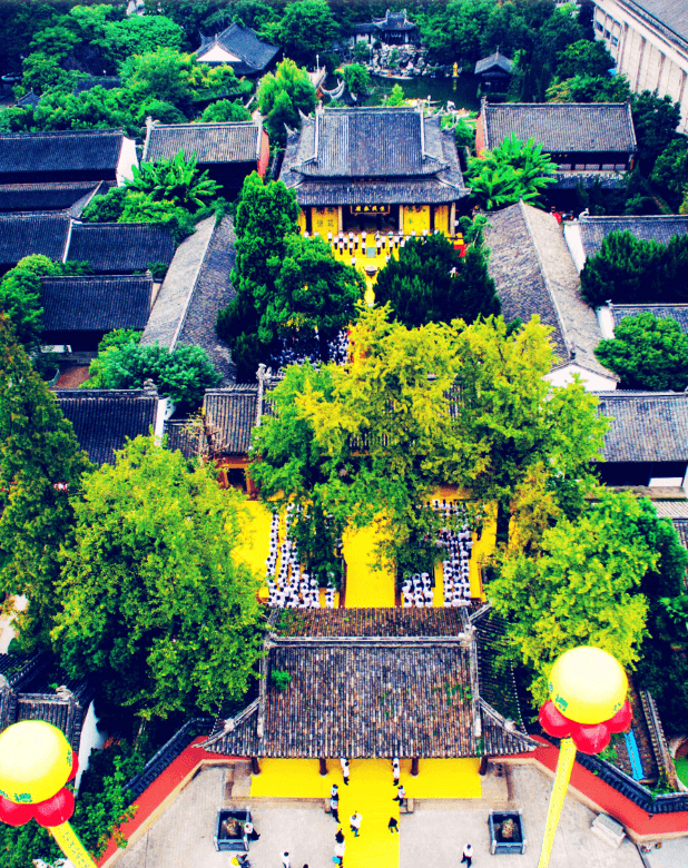 探访南孔文化发源地，优秀传统文化如何再续新活力？