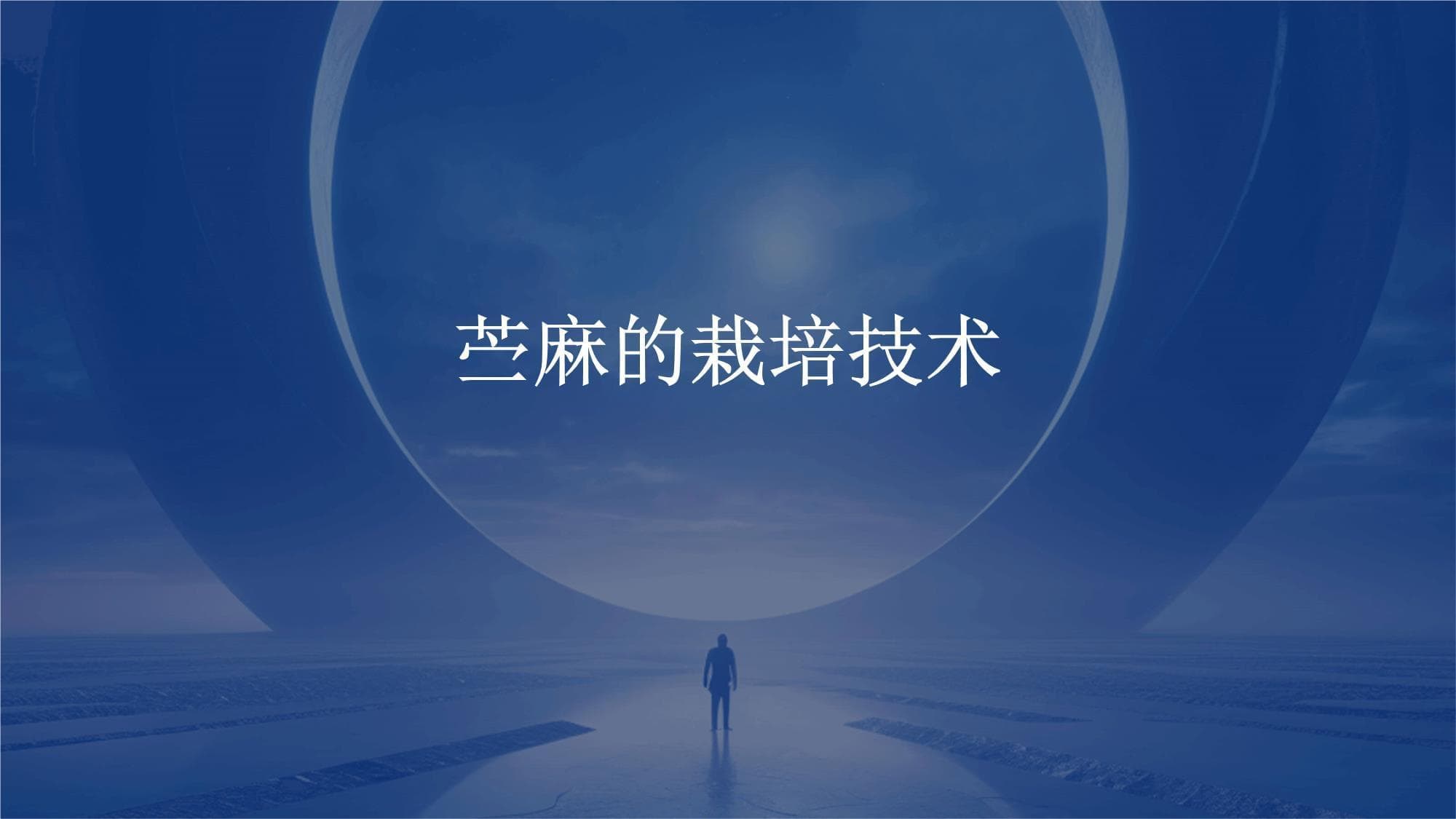 苎麻的栽培技术