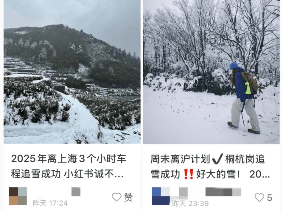 直冲23℃！大回暖大跳水，上海气温一周体验四季！网友吐槽：不是过山车，是跳楼机
