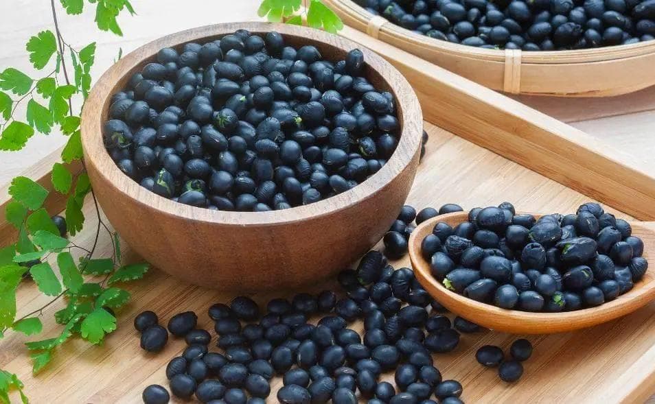 黑豆的N种美味打开方式，软糯、营养、创意满满，让你爱不释手！