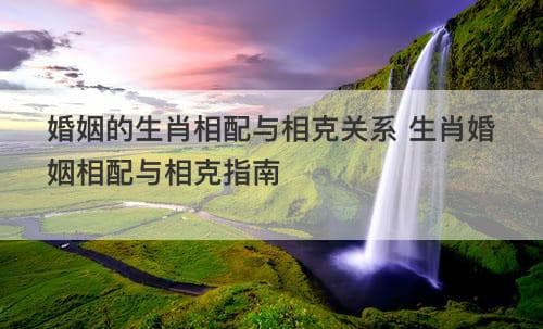 婚姻的生肖相配与相克关系 生肖婚姻相配与相克指南