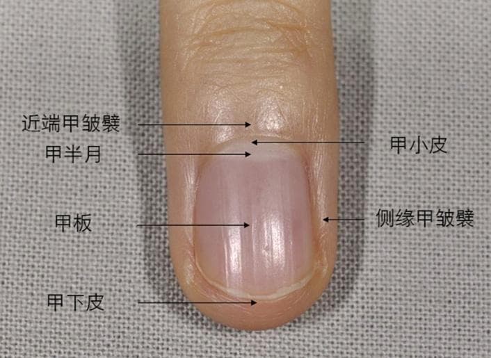 长期美甲会致癌，是真的吗？安全做美甲注意这几点→
