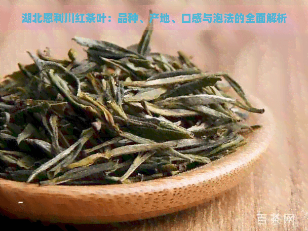 湖北恩利川红茶叶：品种、产地、口感与泡法的全面解析