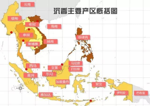 沉香必懂知识点：从产地到用途的全面分类指南