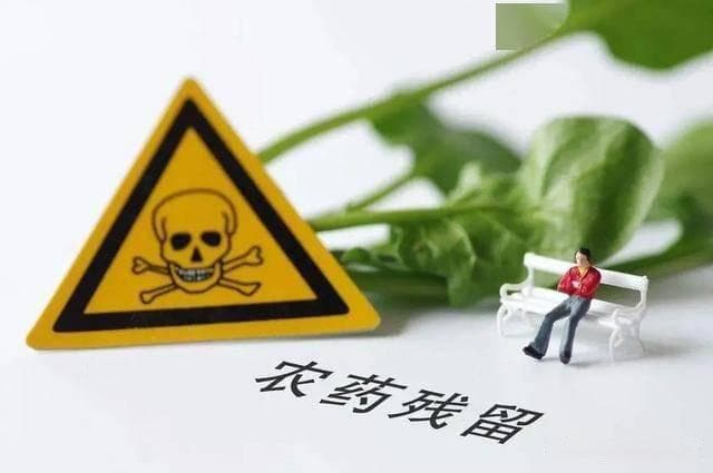 中国城市居民体内首次检出20种农药残留，专家呼吁加强食品检测